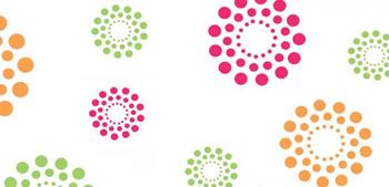 Design Cellophane Rolls
