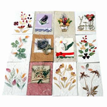 3" x 4" Greeting Cards